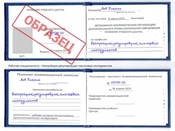 Обучение Настройщик-регулировщик смычковых инструментов