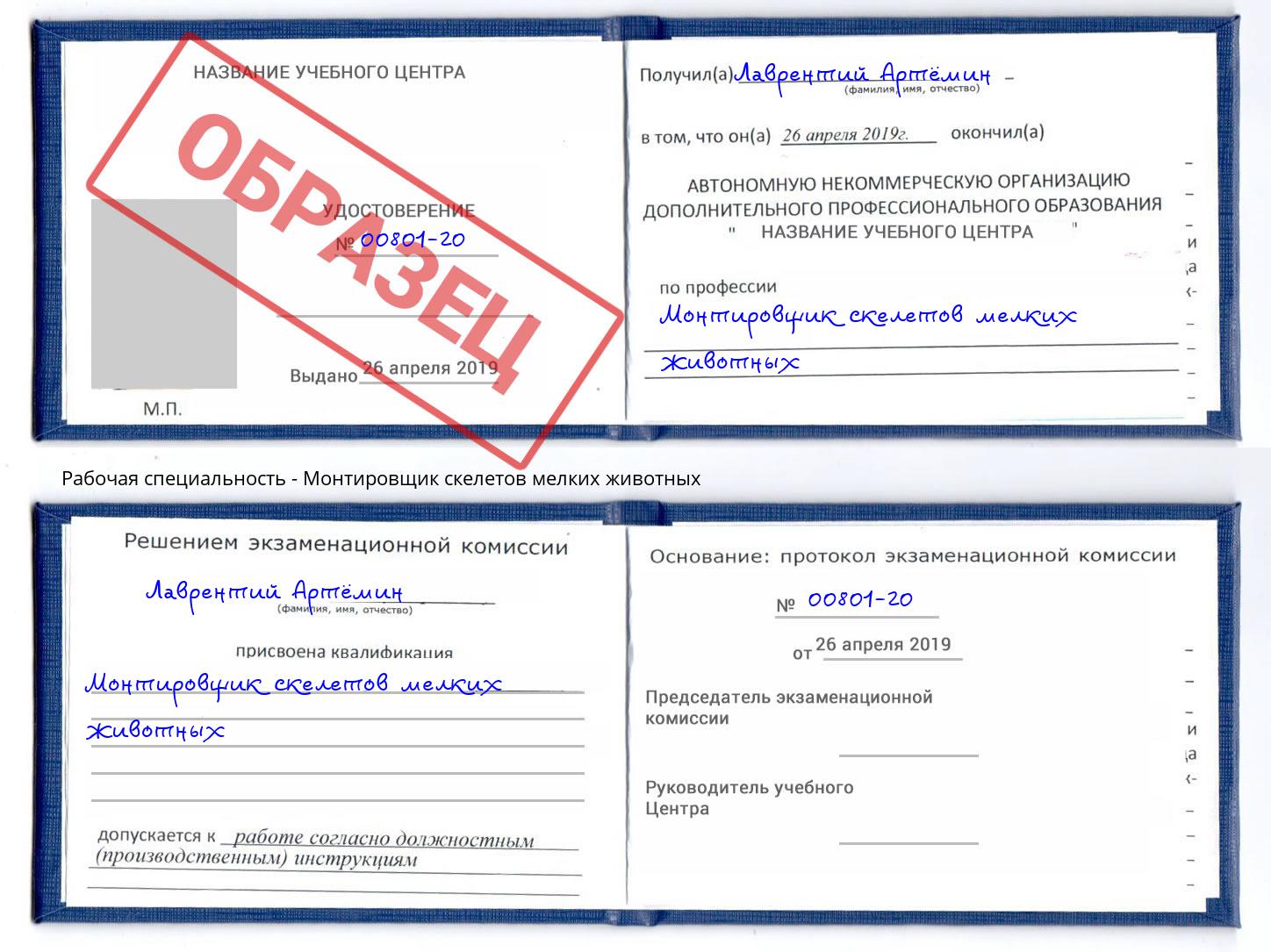 Монтировщик скелетов мелких животных Элиста