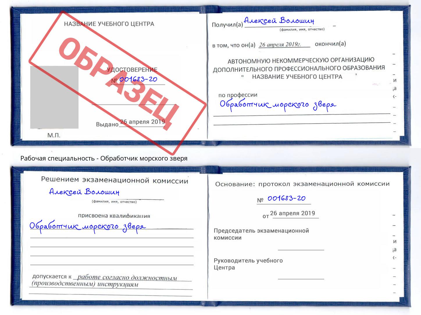 Обработчик морского зверя Элиста