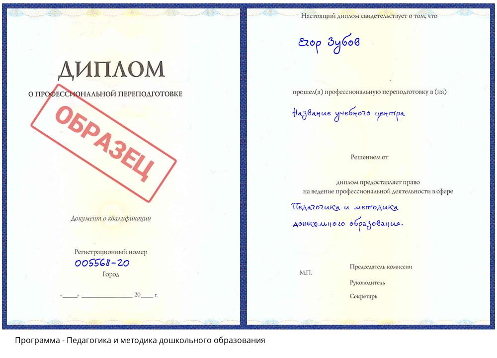 Педагогика и методика дошкольного образования Элиста