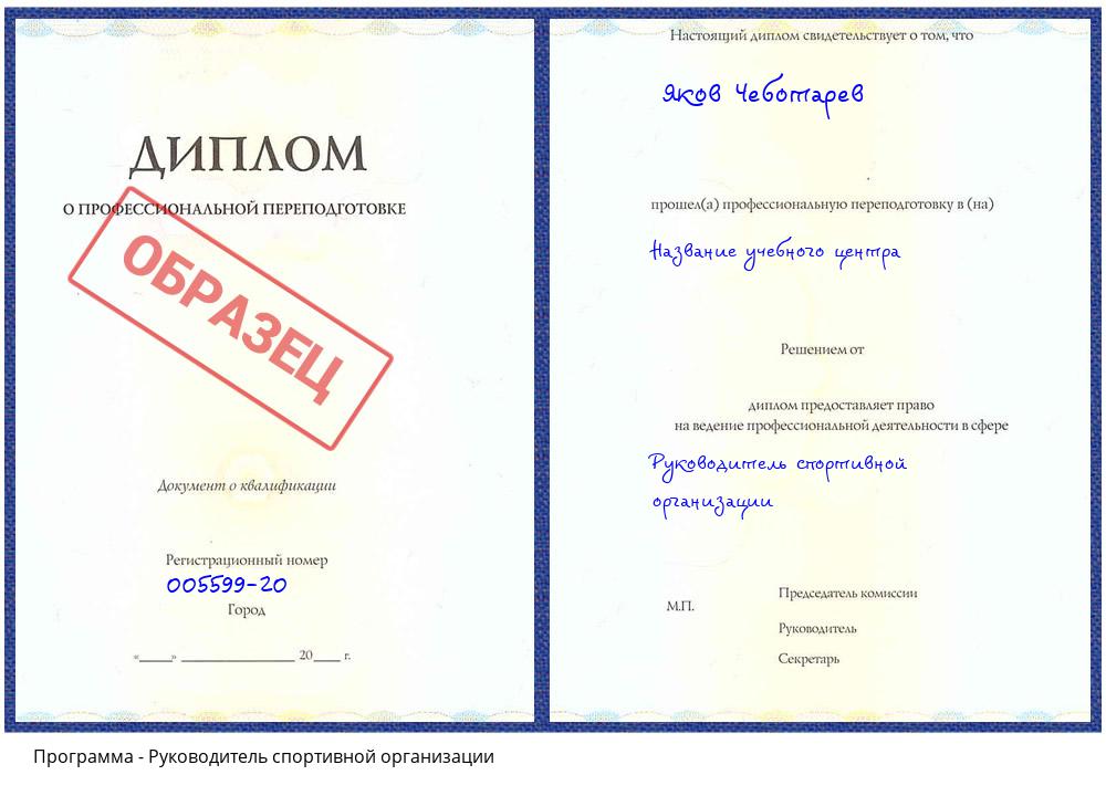 Руководитель спортивной организации Элиста