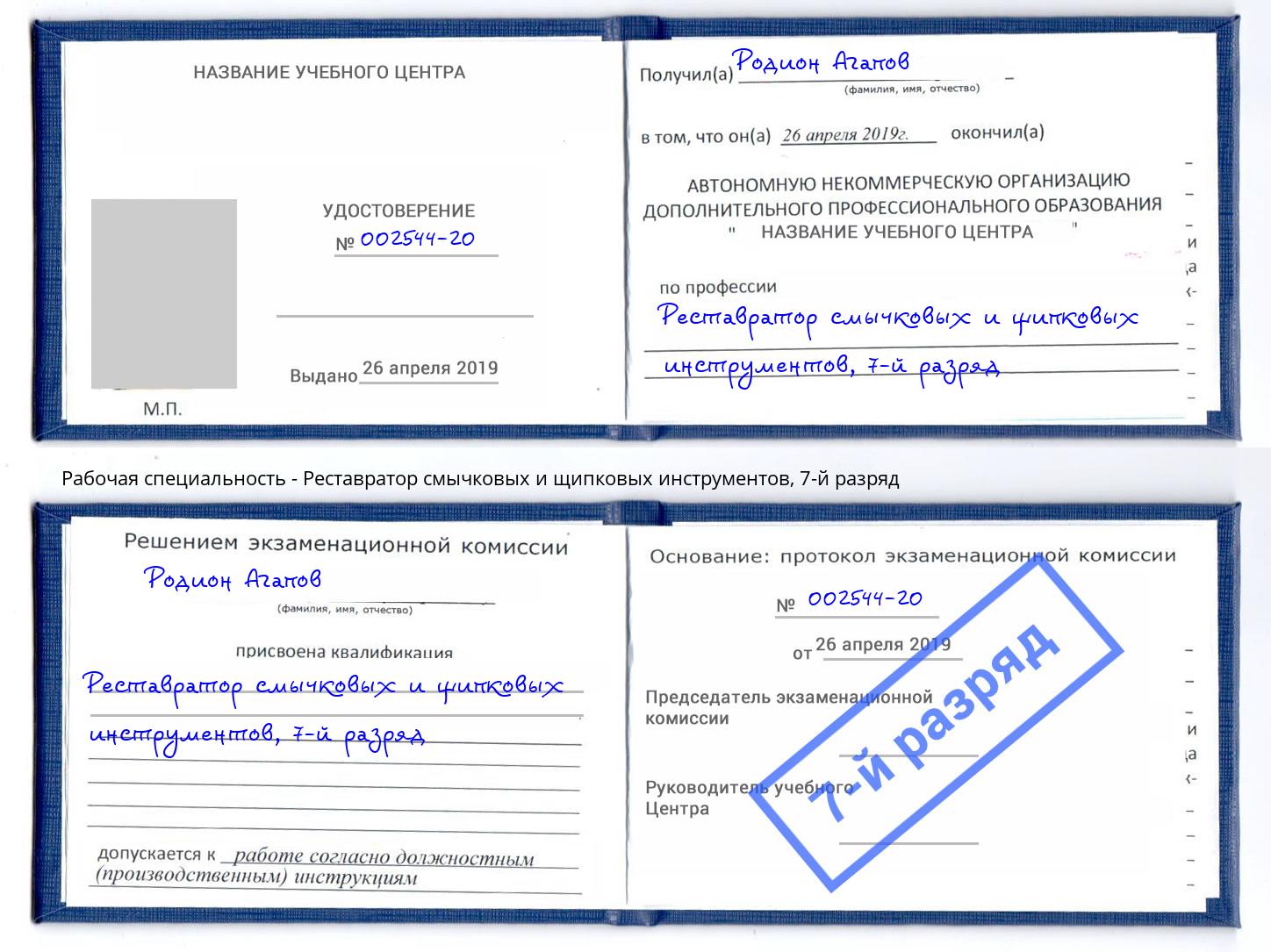 корочка 7-й разряд Реставратор смычковых и щипковых инструментов Элиста